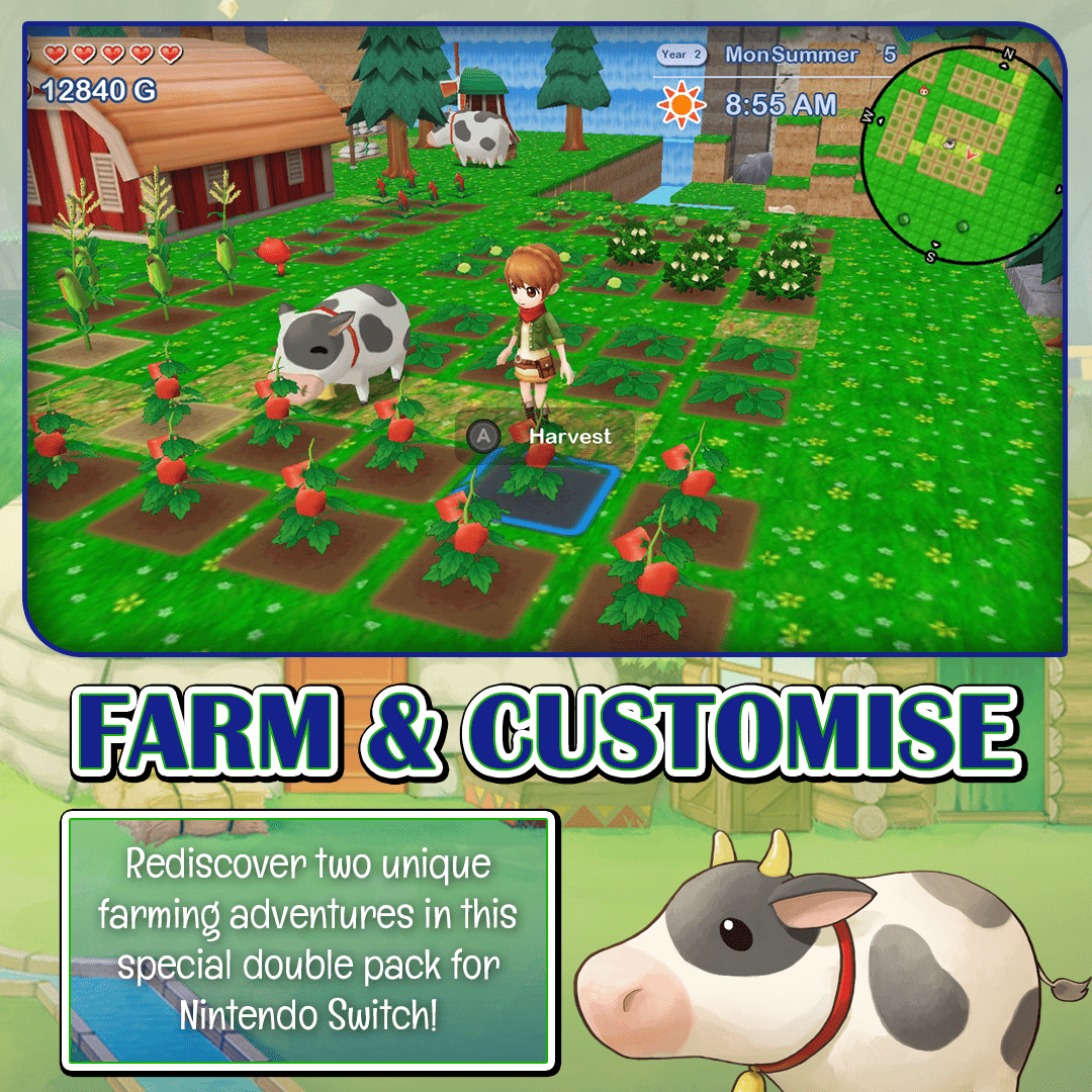 Harvest Moon: The Lost Valley and Skytree Village (collectors editon)