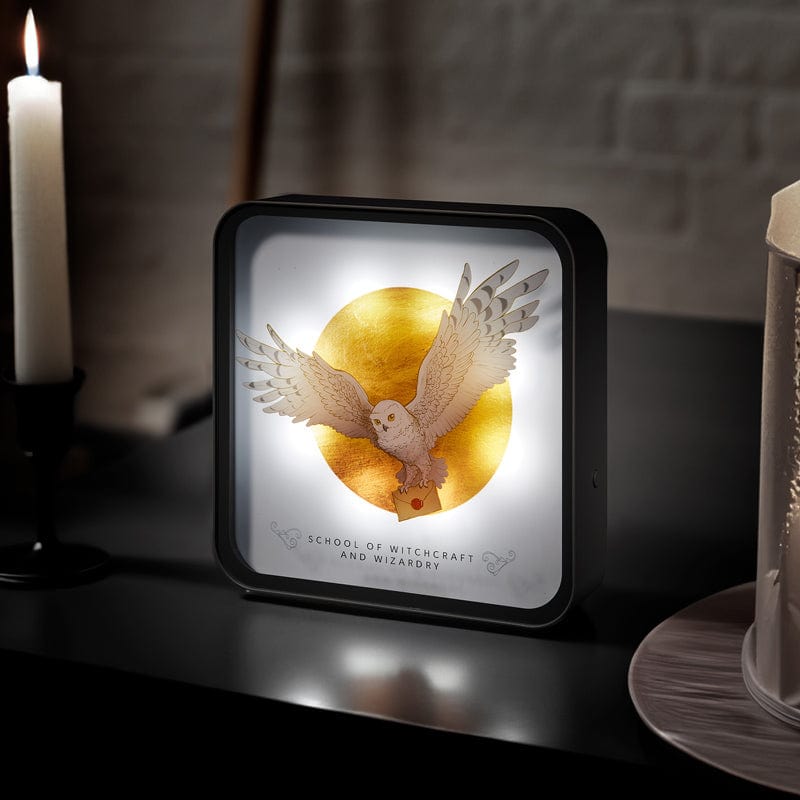 Harry Potter Hedwig Perspex Lamp